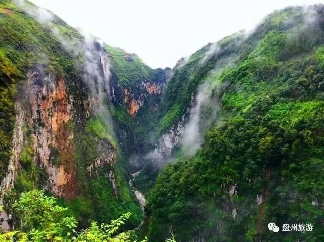 舞熊森林逃生